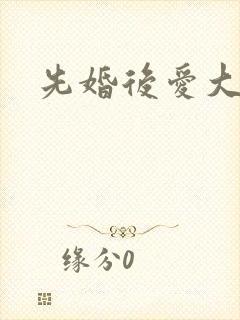 先婚后爱大结局