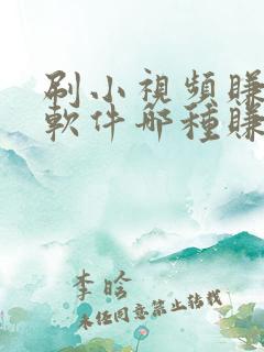 刷小视频赚钱的软件哪种赚钱多