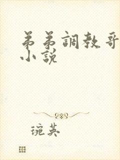 弟弟调教哥哥的小说