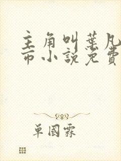 主角叫叶凡的都市小说免费阅读