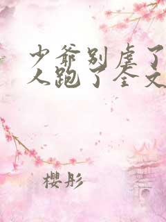 少爷别虐了,夫人跑了全文免费阅读