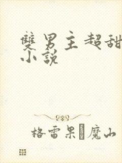 双男主超甜宠文小说