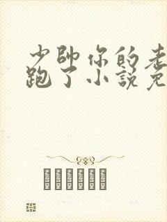 少帅你的老婆又跑了小说免费阅读