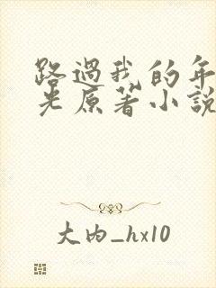路过我的年少时光原著小说