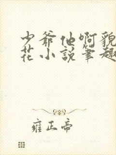 少爷他啊貌美如花小说笔趣阁无弹窗