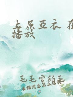 上原亚衣 在线播放