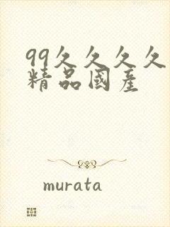 99久久久久久精品国产