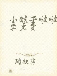 小猴子啵啵第一季免费