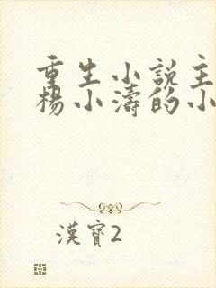 重生小说主角叫杨小涛的小说