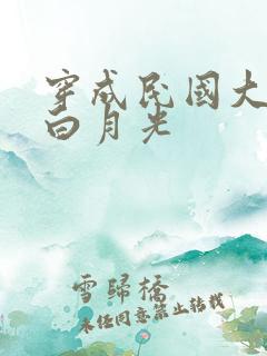 穿成民国大佬的白月光