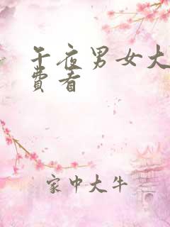 午夜男女大片免费看