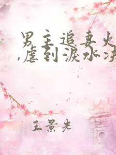 男主追妻火葬场,虐到泪水决堤