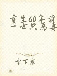 重生60年前这一世只为妻儿短剧免费看