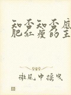 知否知否应是绿肥红瘦的主题曲是什么