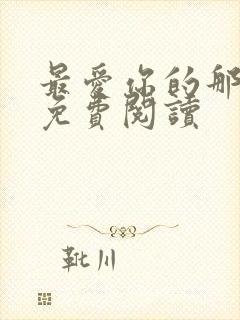 最爱你的那十年免费阅读