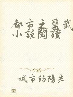 都市之医武阎王小说阅读