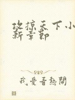 攻掠天下小说最新章节