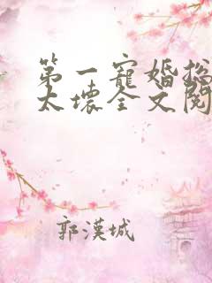 第一宠婚总裁别太坏全文阅读