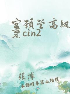 宫颈管高级别病变cin2