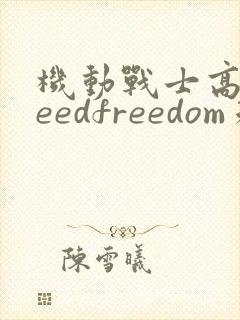 机动战士高达seedfreedom未删减版在线观看