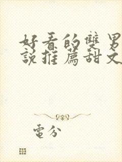 好看的双男主小说推荐甜文