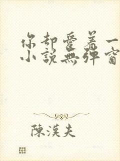 你却爱着一个他小说无弹窗