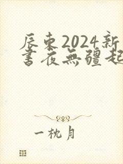 辰东2024新书夜无疆起点