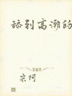 舔到高潮的小说