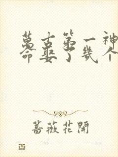 万古第一神李天命娶了几个