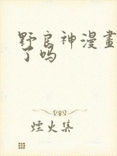 野良神漫画完结了吗