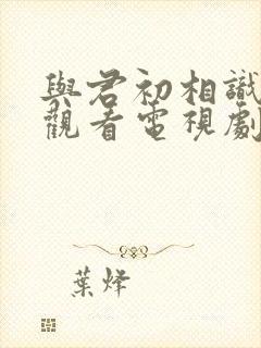 与君初相识免费观看电视剧全集