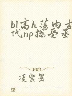bl高h荡肉古代np总受丞相