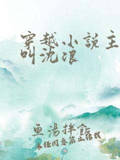 穿越小说主人公叫沈浪