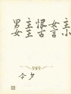 男主恨女主报复女主古言小说