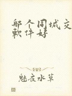 哪个同城交友的软件好