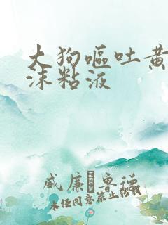 大狗呕吐黄水泡沫粘液