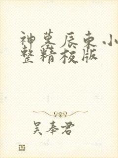神墓辰东小说完整精校版