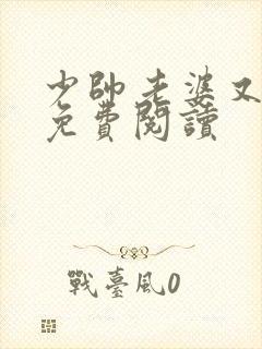 少帅老婆又跑了免费阅读