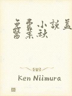 免费小说盖世神医叶秋