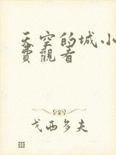 天空的城小说免费观看