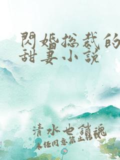 闪婚总裁的契约甜妻小说