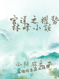 官道之权势滔天 林峰小说