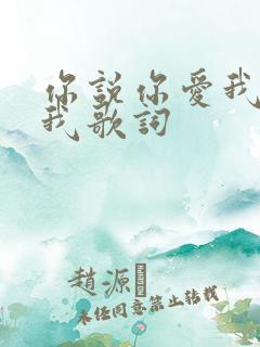你说你爱我你想我歌词