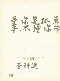 爱你是孤单的心事,不懂你微笑的意思