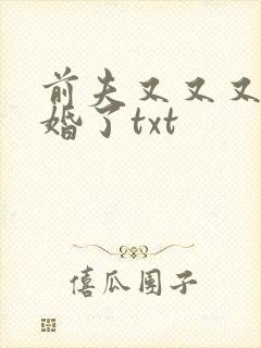 前夫又又又想复婚了txt