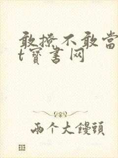 敢撩不敢当txt宝书网