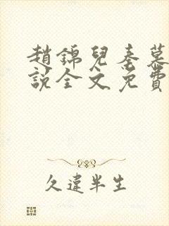 赵锦儿秦慕修小说全文免费阅读免费