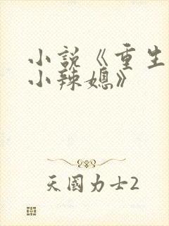 小说《重生七零小辣媳》