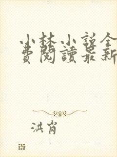 小林小说全文免费阅读最新章节阅读