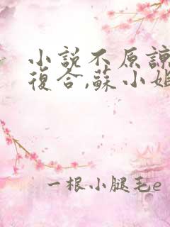 小说不原谅,不复合,苏小姐独美txt